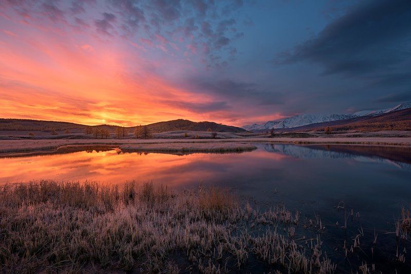 утро в Курайской степиphoto preview