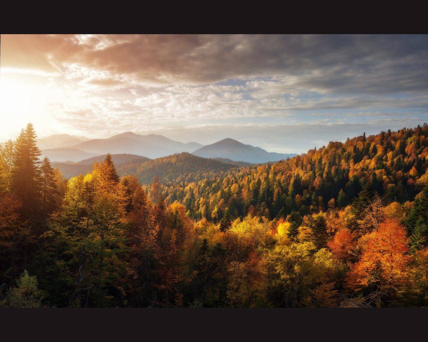 "Адыгейская осень". Автор: Алексей Дранговский , Алексей Дранговский