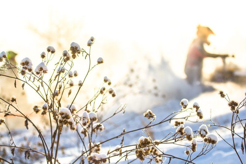 Снежный беспределphoto preview