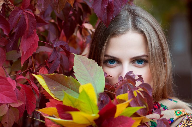 Осенняяphoto preview