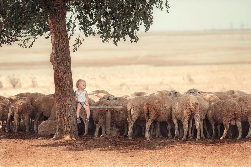 Пастушокphoto preview