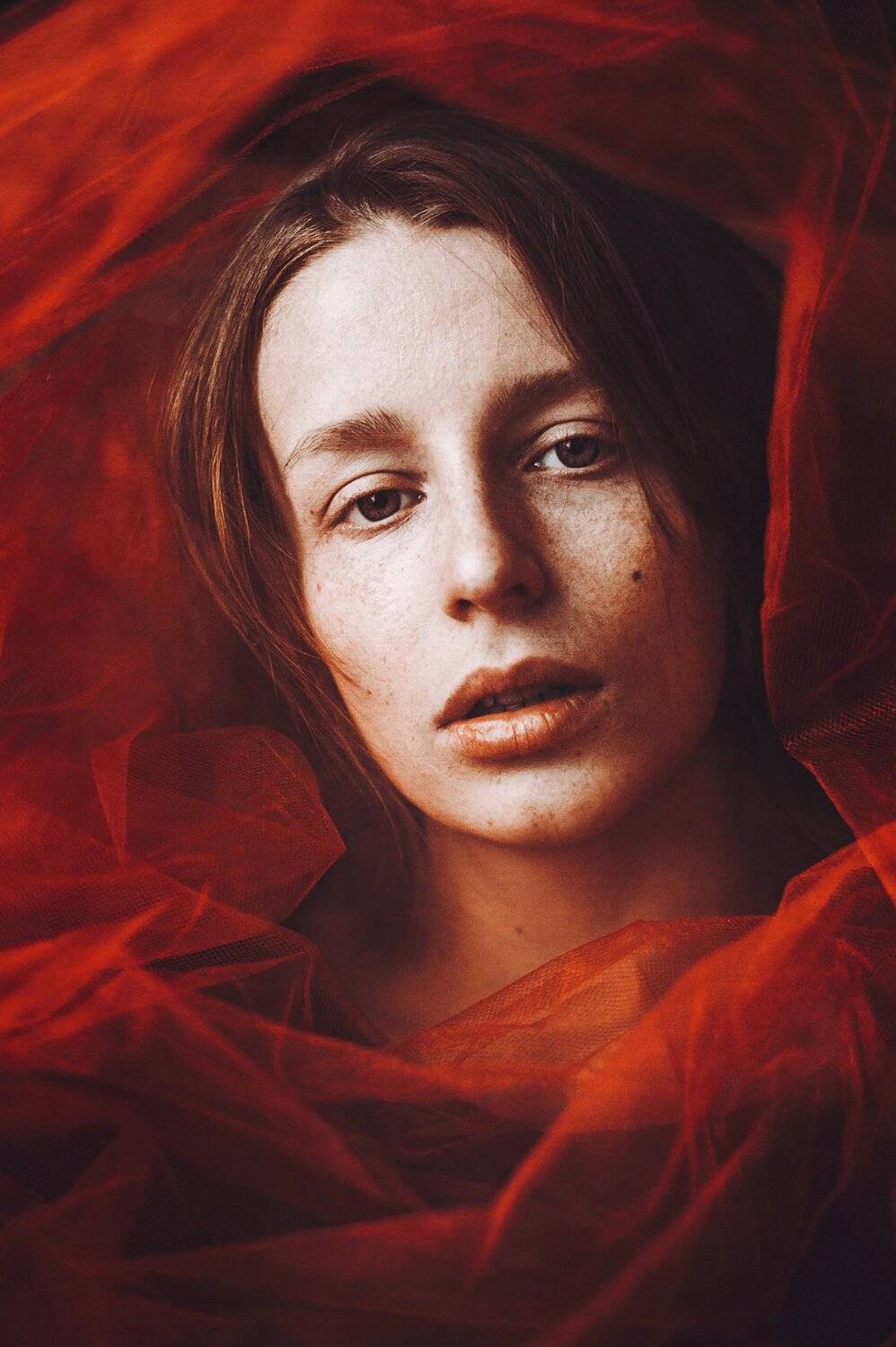 Автор: Ian Boil , Ian Boil