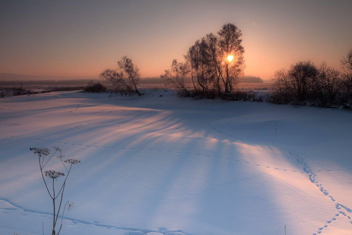 , Николай Морский