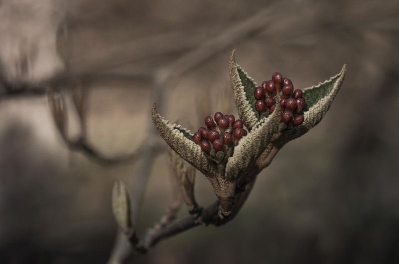 На заре цивилизацииphoto preview