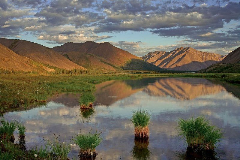 якутия, хребет черского, озеро дарпир Якутские ананасы.photo preview