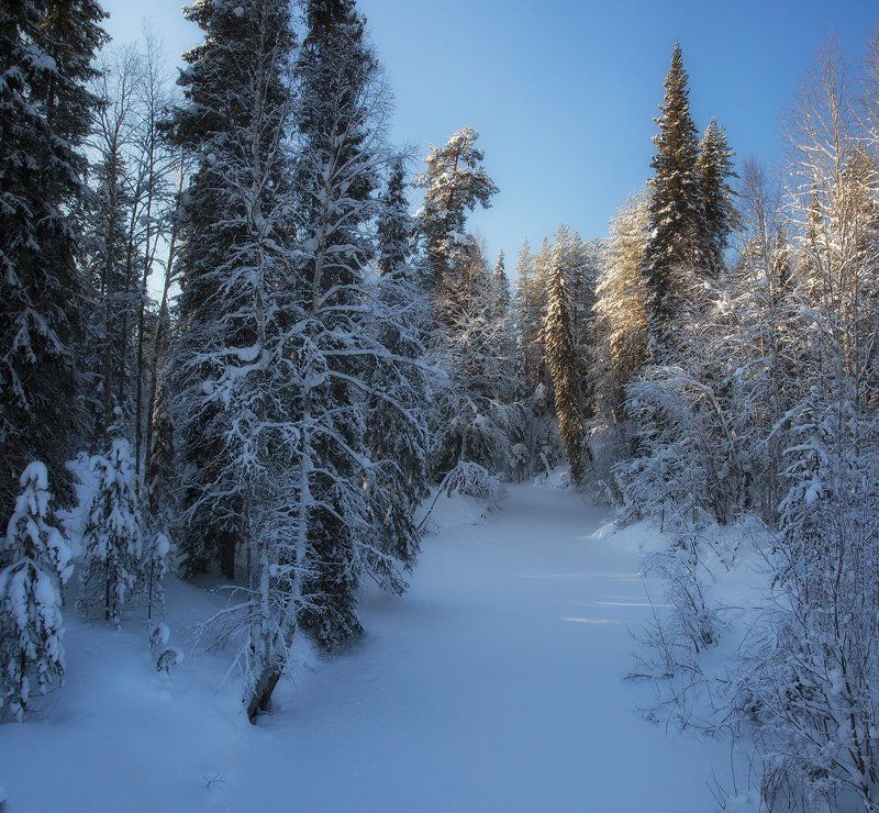 ***********photo preview