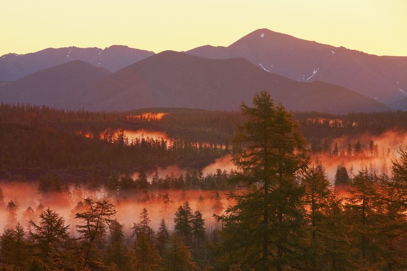 Горящий  туманphoto preview