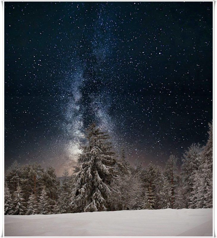 Вечный зовphoto preview