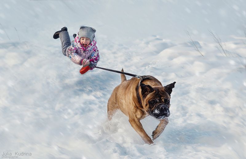 полет бульмастиф детский портрет Пять минут, полет нормальный!)photo preview