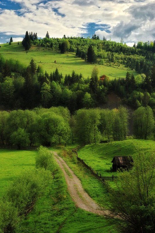 Карпатыphoto preview