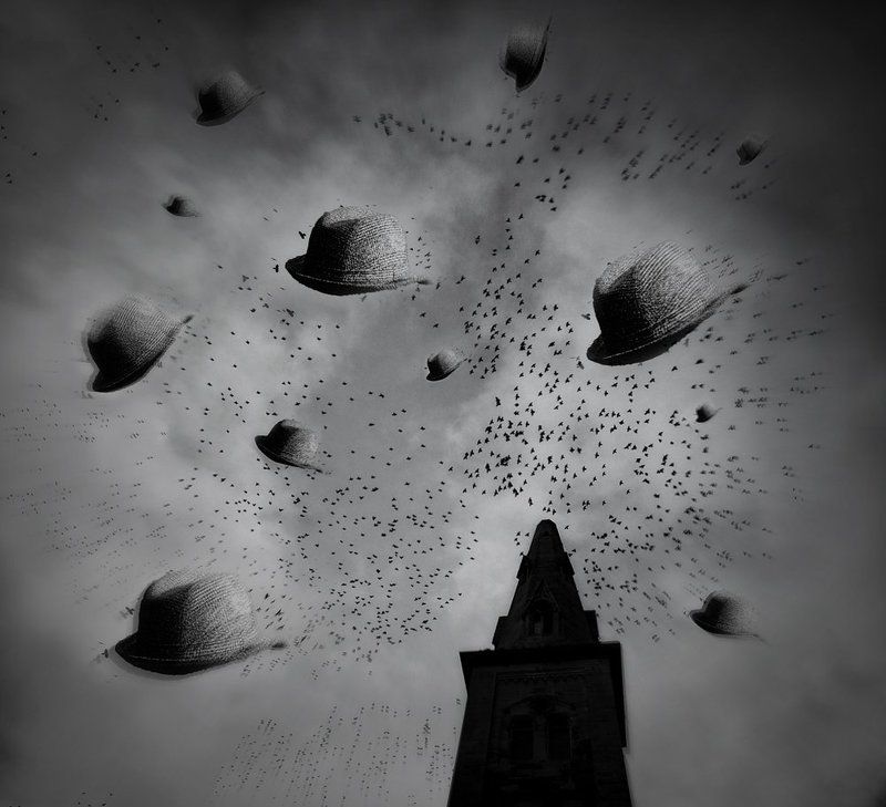 Dust in the windphoto preview