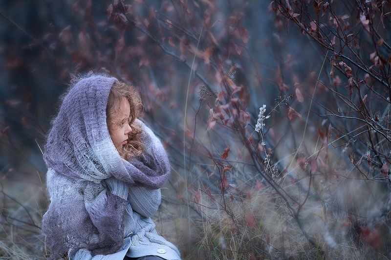 Черничная осеньphoto preview