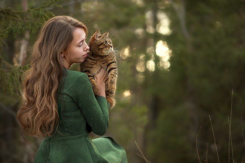 Сказочный лесphoto preview