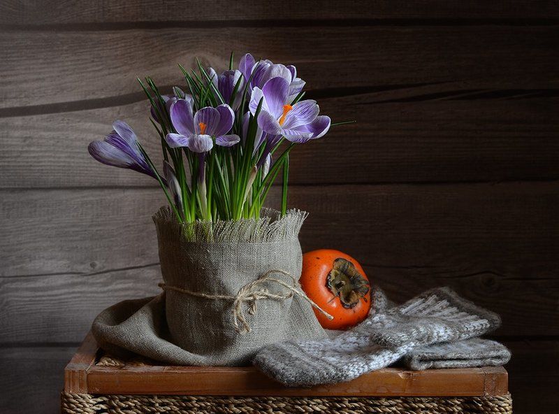 календарь, февраль, крокусы, варежки, хурма А на дворе февральphoto preview