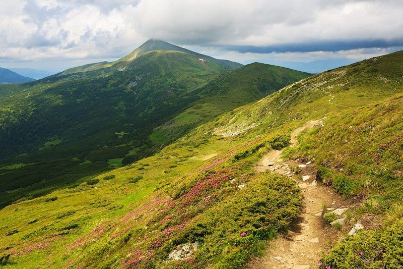 На Говерлу фото превью