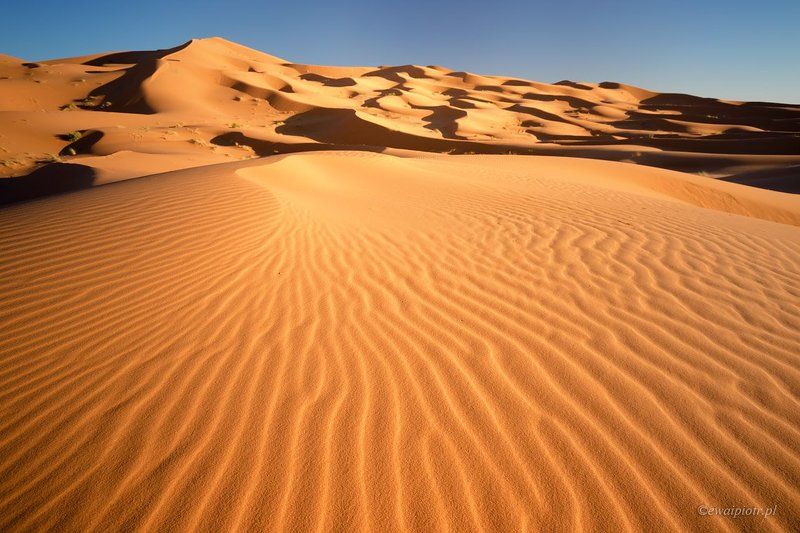 morocco, desert, sand, dunes, Lines on the sandphoto preview