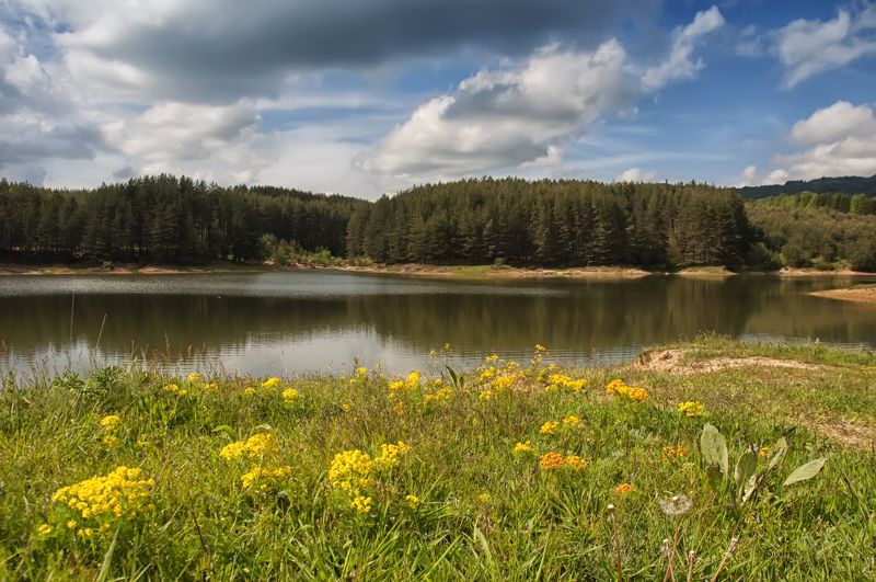 Маленкая плотина Свеженphoto preview