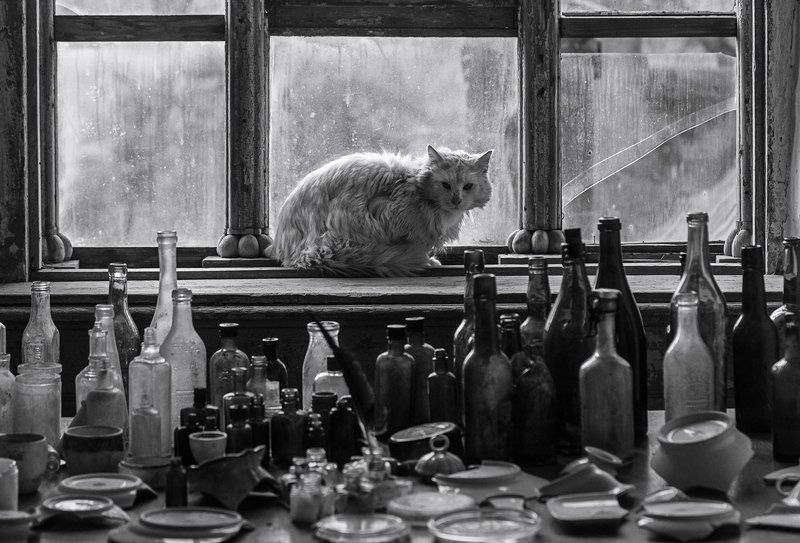 Осколки прошлогоphoto preview