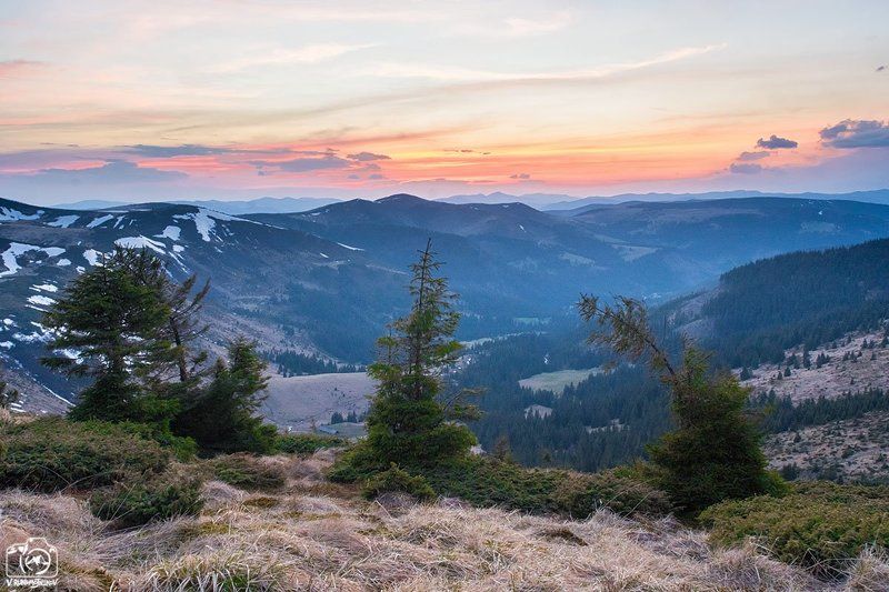 украина, карпаты, свидовец, горы, закат, ели Три сестрыphoto preview
