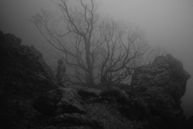 Путь страхаphoto preview