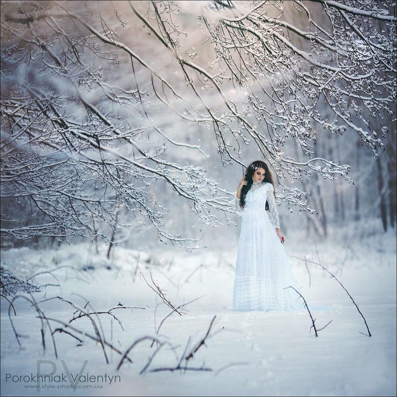 девушка, снег, вснегу, мороз,зима, платье, фотосессия, длинное платье photo preview