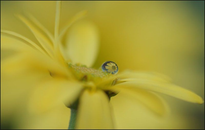 A small dropphoto preview