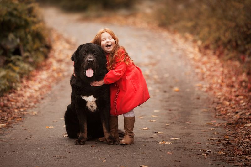 Лучший другphoto preview