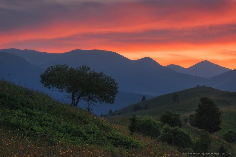 пейзаж, горы, природа, лес, небо, путешествия, красивый, лето, зеленый, украина, трава, дерево, фон, парк, естественный, луг, гора, сезон, красота, цвет, солнце, свет, свежий, карпатский, идиллический, карпаты, карпатские, синий, туризм, вид, холм, время, Карпаты. Дземброня. Закатное небо у горы Косарищеphoto preview
