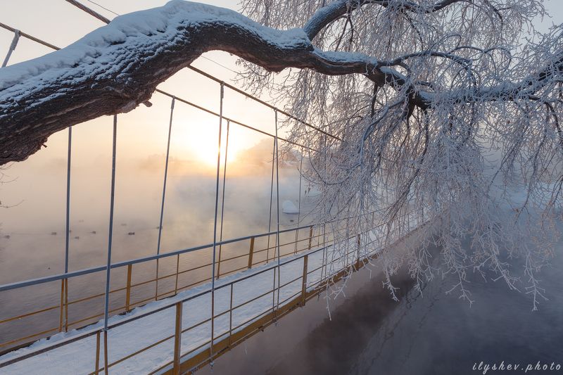 мороз и уткиphoto preview