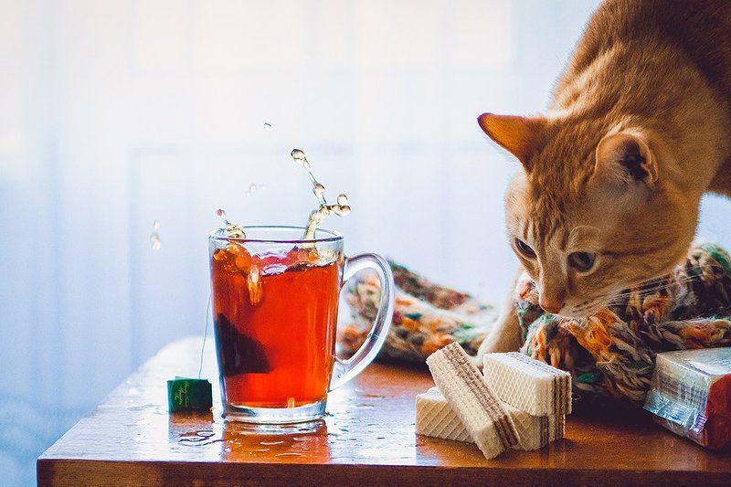 /// фото превью