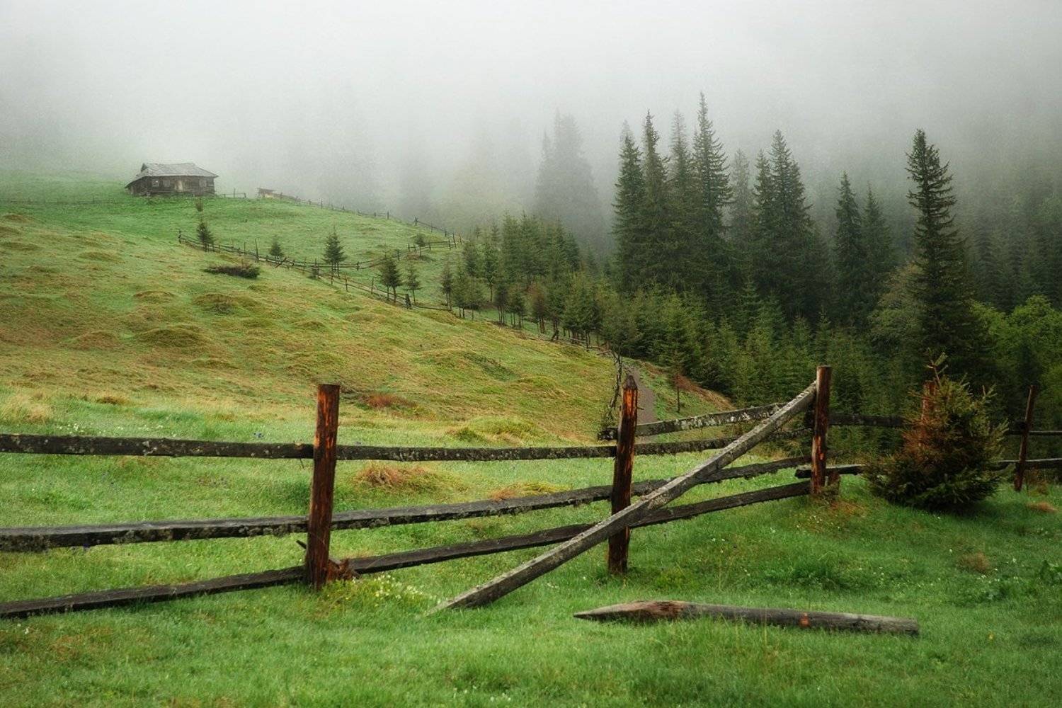 Карпаты, утро. Автор: Лопухов Сергей , Лопухов Сергей