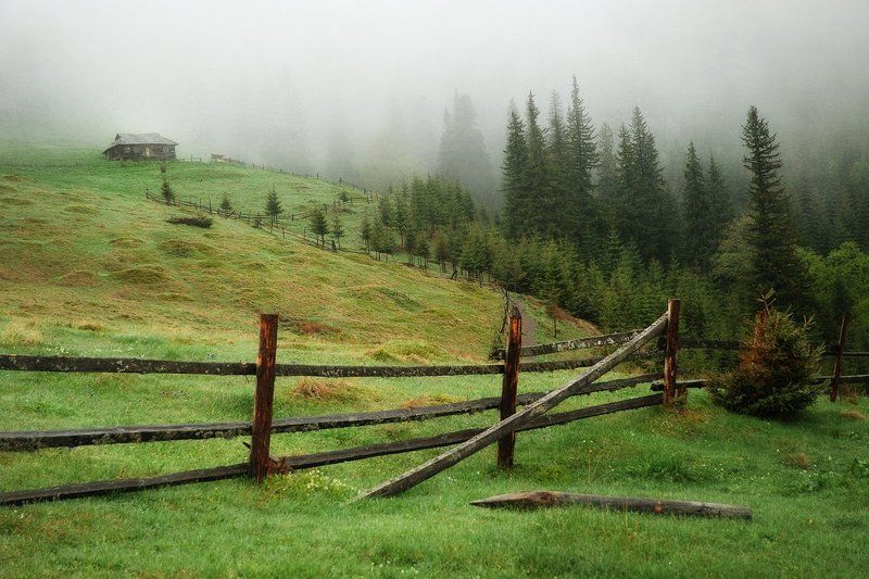 Карпаты, утроphoto preview