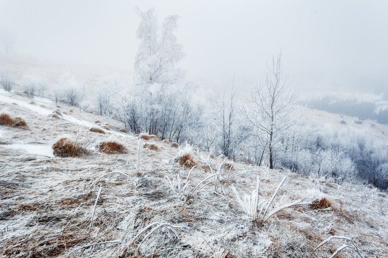 Карпаты. Дземброня. Из серии Морозное утроphoto preview