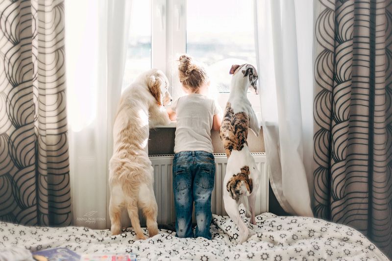 Друзьяphoto preview