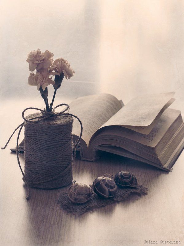 про гвоздичкиphoto preview