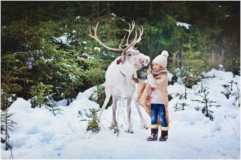 девочка, лес, олень, зима В зимнем лесуphoto preview