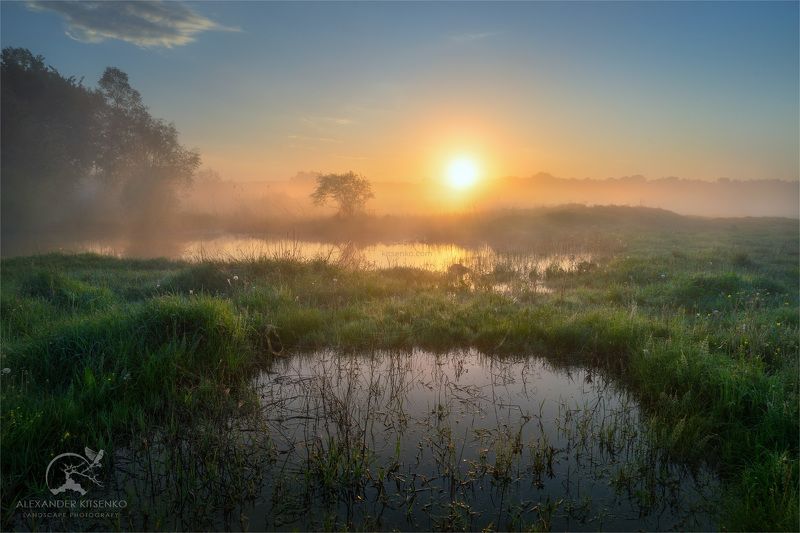 утро, луг, весна, солнце, рассвет, туман О Пользе Весенних Лужphoto preview