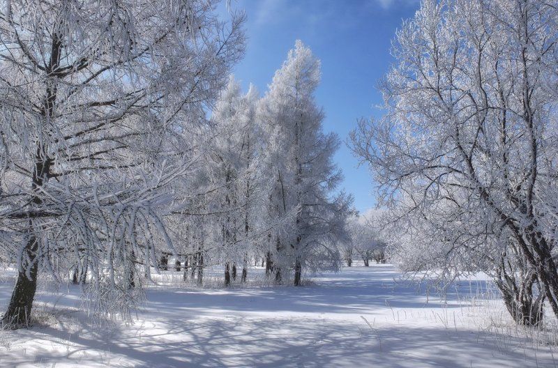 Прогулка в рабочий день фото превью