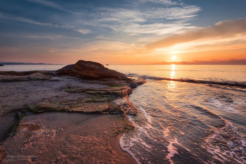 Silent morningphoto preview