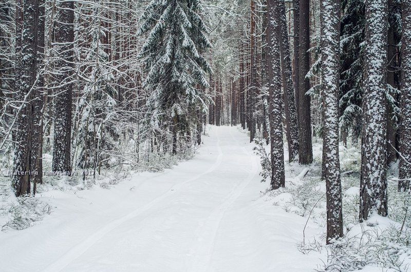 Волшебствоphoto preview