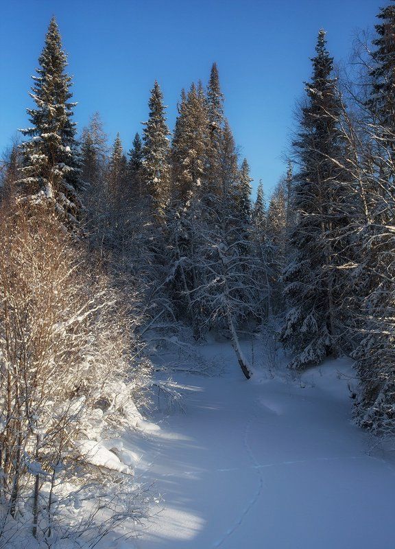 **********photo preview