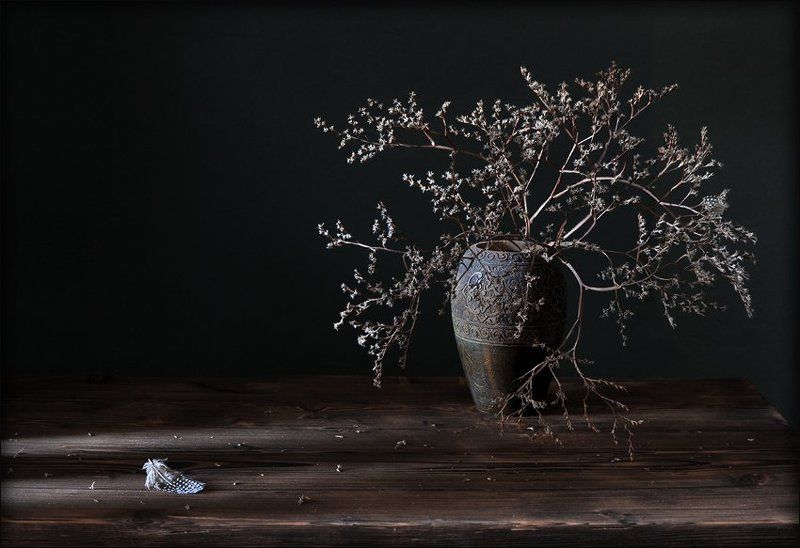 натюрморт, перо , сухоцвет С перепелиным пером...photo preview