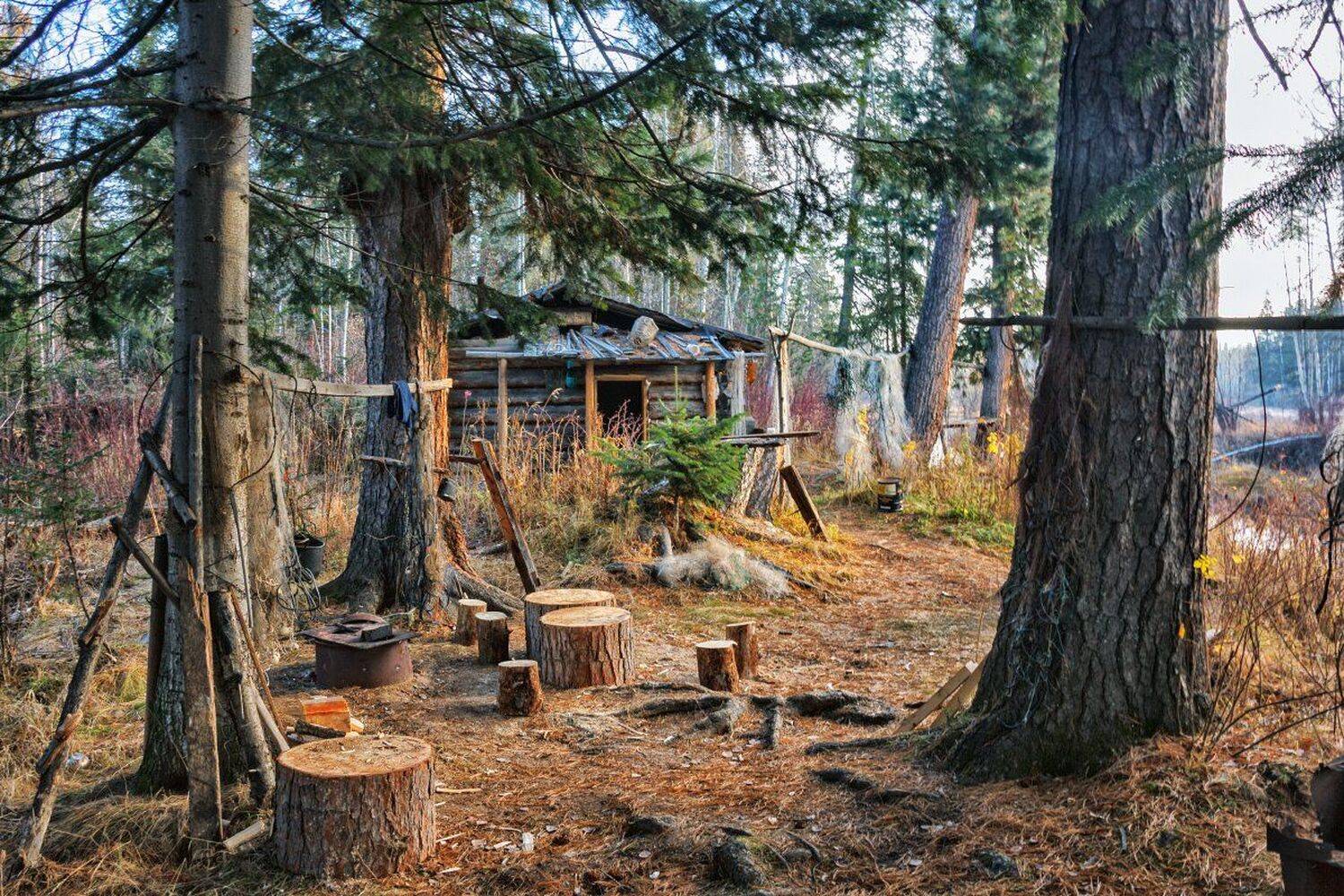 Избушка охотника. Автор: Николай Андреев , Николай Андреев