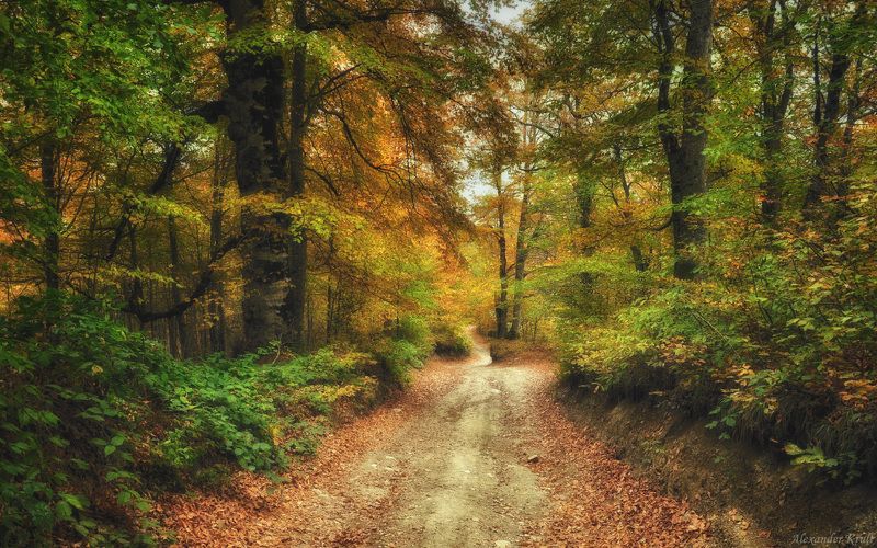 Осенний калейдоскоп...photo preview