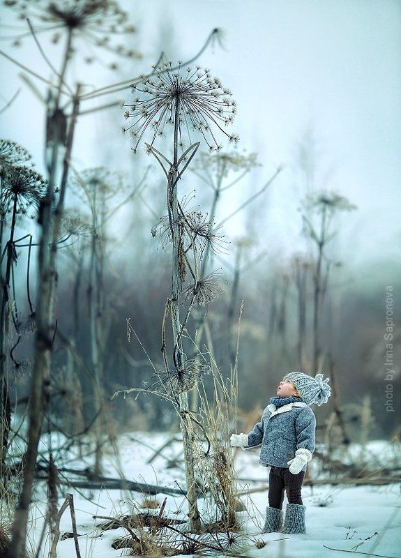 в укропеphoto preview