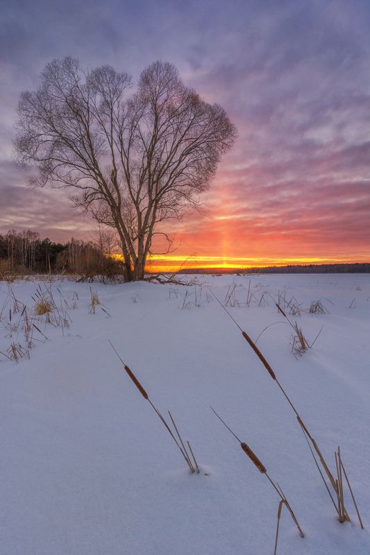 На закате дняphoto preview