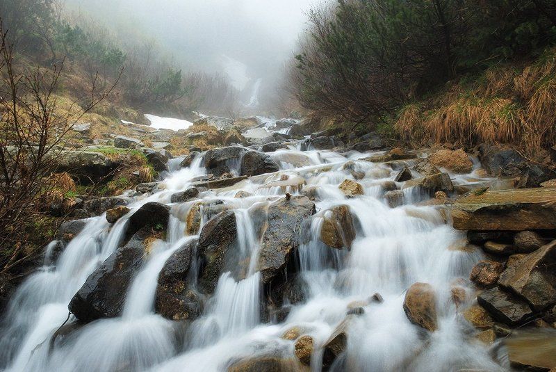 карпаты, лес, камни, водопад, ручей, d80 Карпаты, майские водопадикиphoto preview