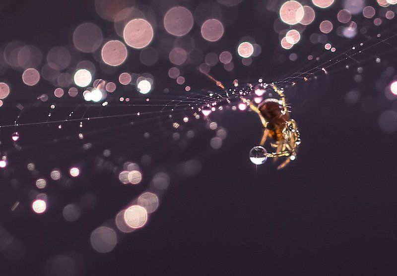 Ювелир.photo preview