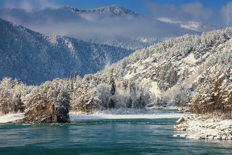 республика, алтай, горный, река, гора, горы, скала, скалы, ноябрь, 2016, тайга, сосна, сосны Катуньphoto preview