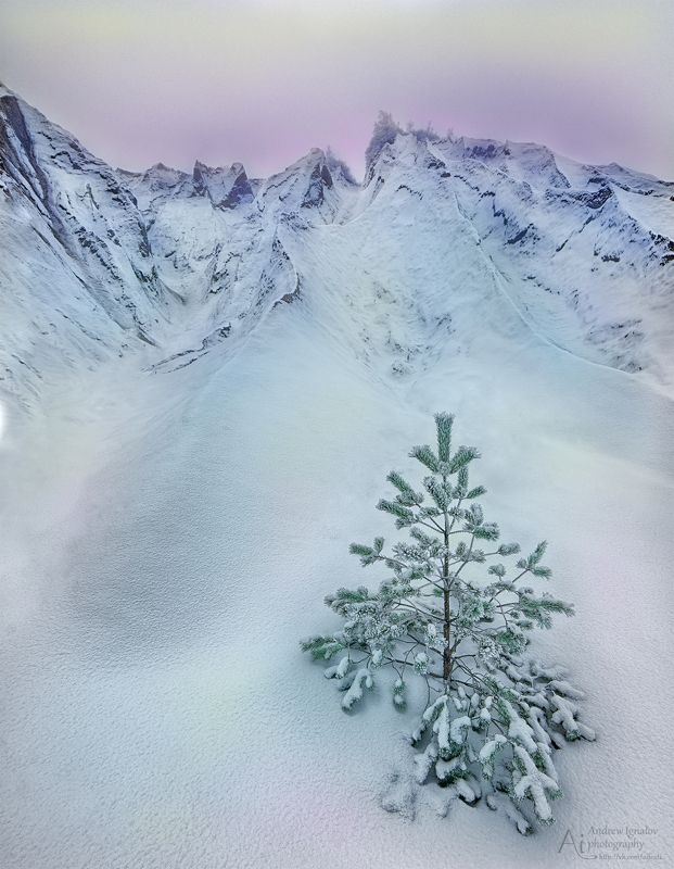 пейзаж, landscape, sunrise, sunset, nikon, nikonrussia Зимняя сказкаphoto preview